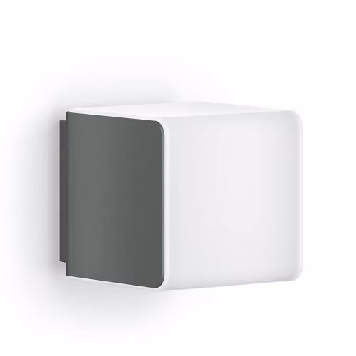 Steinel L 830 C LED buitenwandlamp, dimbaar, grijs/zwart