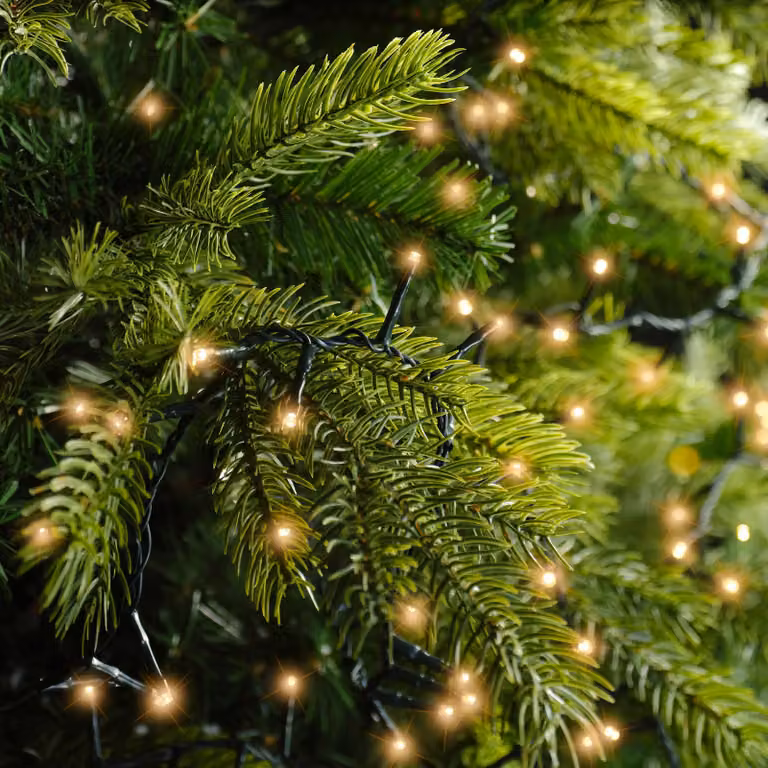 Lumineo Kerstverlichting LED Compact Rice Lights Buiten 11 meter 500 LED
