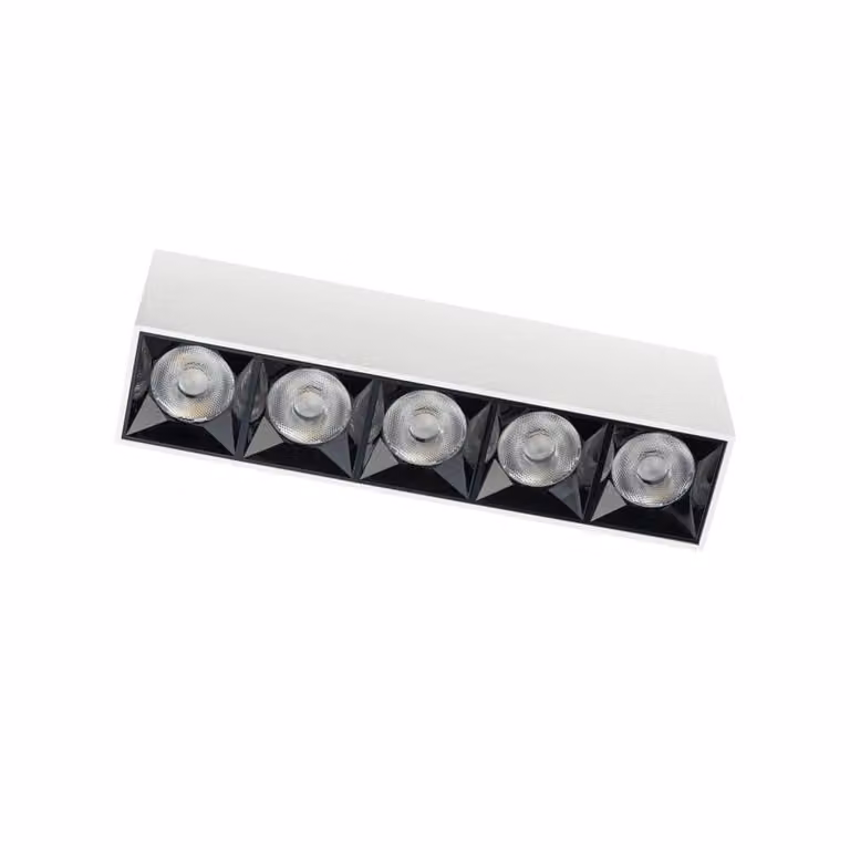 Lyora Witte opbouwspot Midi Led 5x1 4000K Aluminium