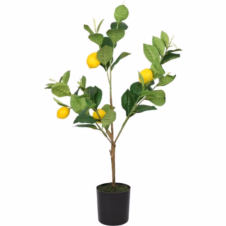 Budget Home Store Kunstplant Citrus Groen