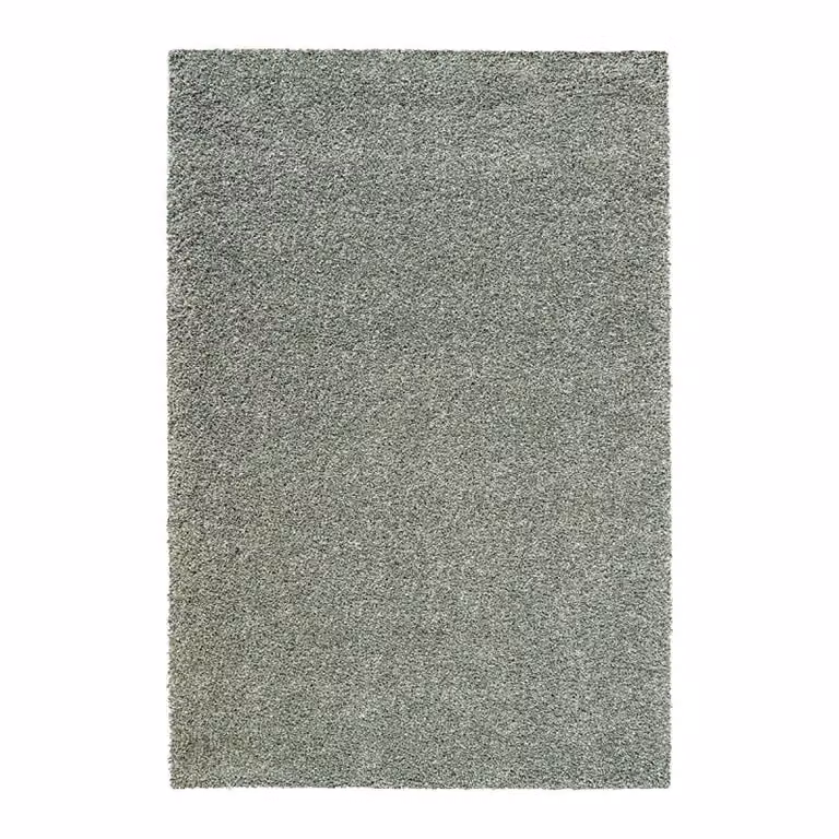 Budget Home Store Vloerkleed Teun Groen Rechthoekig 200 x 290 cm