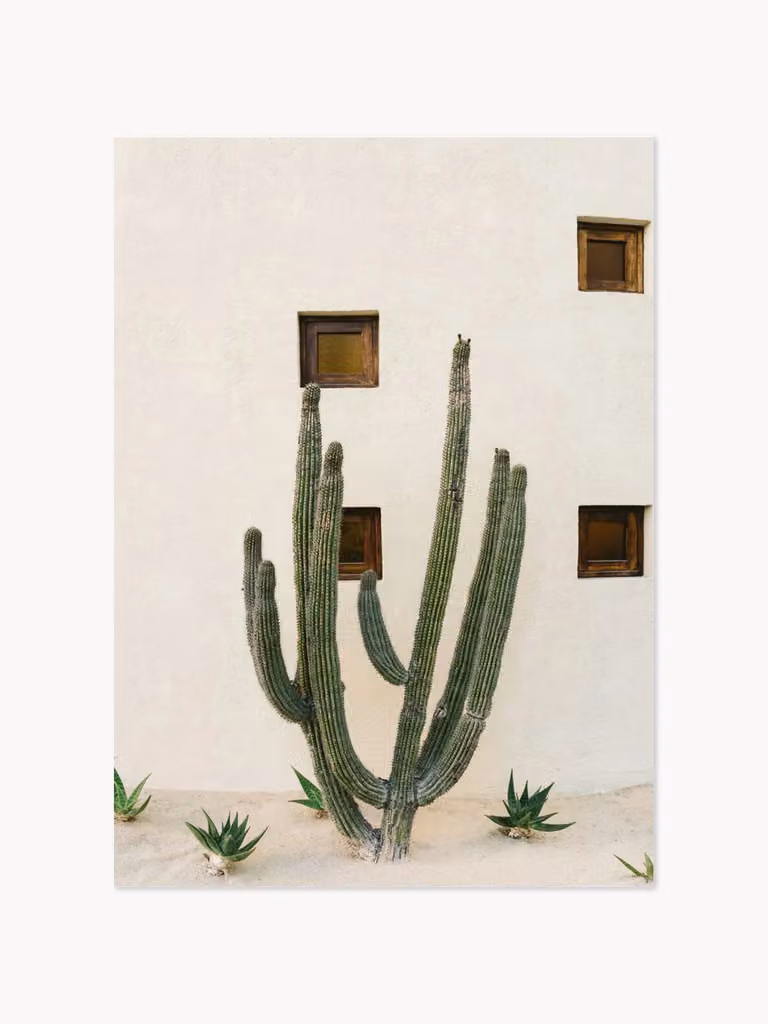 Poster en lijst Cabo Cactus IX