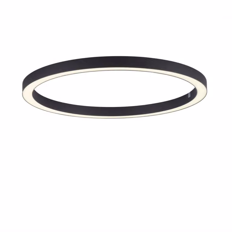 Paul Neuhaus Pure Lines Round LED vloerlamp, antraciet, Ø 70 cm