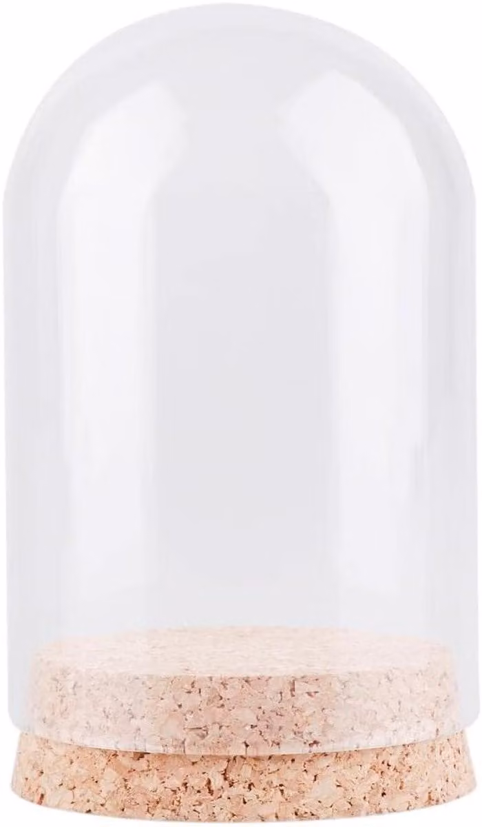 Glazen Vitrine met Decoratieve Koepel en Houten Voet - Helder - 150 x 185 mm
