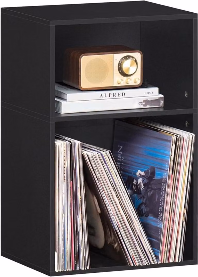 Stijlvolle Boekenplank met 2 Kubussen voor Vinyl en Platenstandaard en Horizontale Opbergkast