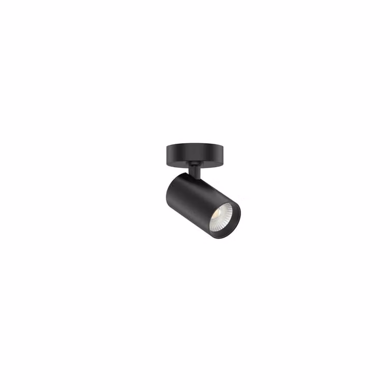 Lyora Led opbouwspot Tevo enkel - Zwart - Warm wit 2700K