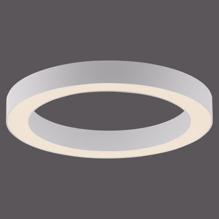 Paul Neuhaus Pure Lines Round LED plafondlamp - Wit - Ø 35 cm