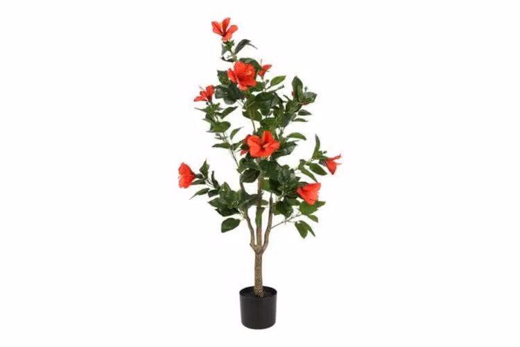 Countryfield zijden Hibiscus plant, oranje, 120 cm