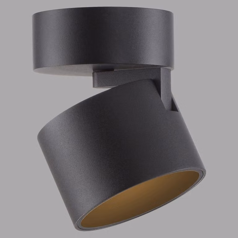 Paul Neuhaus Pure Cup LED opbouwspot, zwart, Ø 9,5 cm