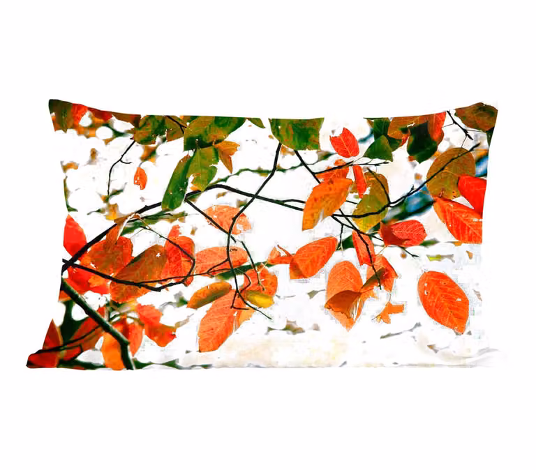 Sierkussen met herfstbladeren voor in de woonkamer, landelijke stijl, 50 x 30 cm