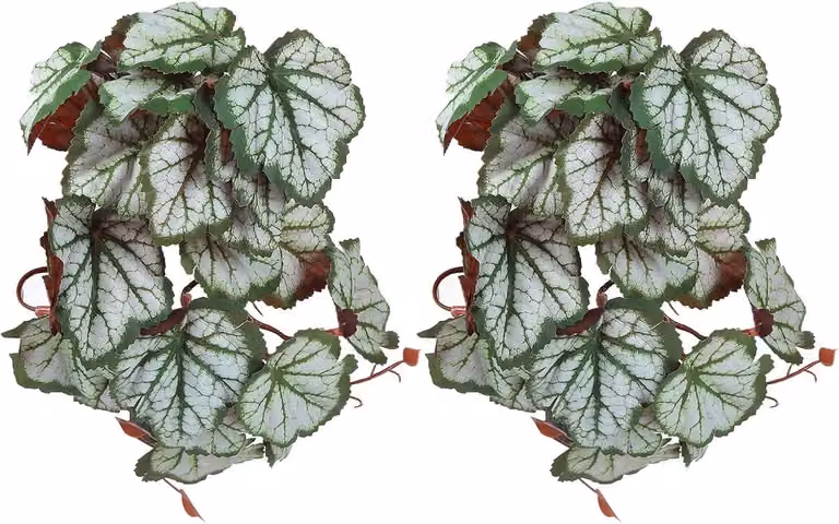 Set van 2 Groene Kunstmatige Reptielenplanten met Sterke Zuignappen voor Terrarium Decoratie