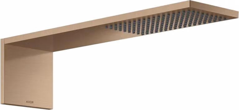 Axor Kopdouchemodule 12592310 110/220