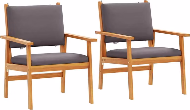 vidaXL Tuinstoel set van 2 stuks, antraciet, massief acaciahout