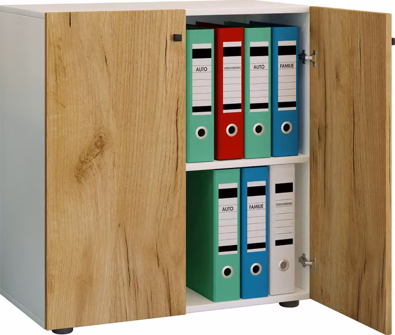 Archiefkast Lona met 2-voudige draaideuren voor kantoor en thuiskantoor, metaal en mdf met houteffect