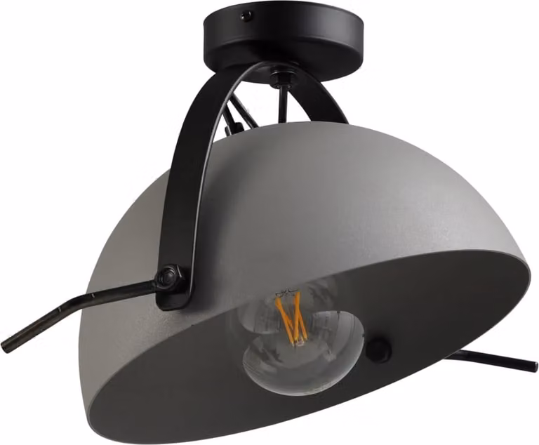 Masterlight Plafondlamp Larino 30 Modern Zwart en Grijs van Metaal