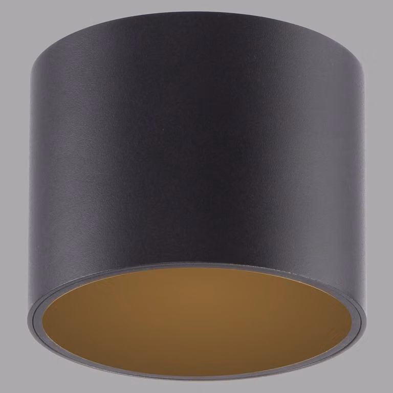Paul Neuhaus Pure Point LED opbouwspot zwart Ø 11 cm IP44