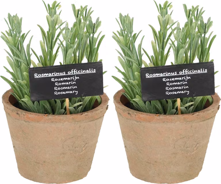 Esschert Design Kunstrosemarijn in oude terracotta pot - 2 stuks - Groen
