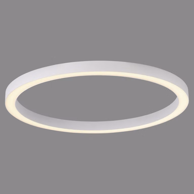 Paul Neuhaus Pure Lines Round LED plafondlamp - Wit - Ø 70 cm - Dimbaar met afstandsbediening