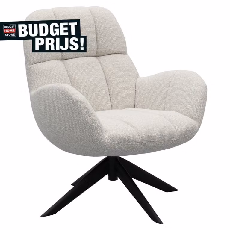 Budget Home Store Draaifauteuil Else Pearl Shell Modern