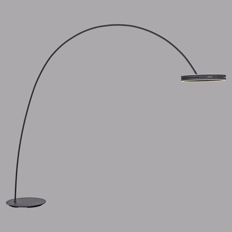 Paul Neuhaus Loop-Bow LED booglamp zwart - Verstelbare vloerlamp met afstandsbediening en dimfunctie