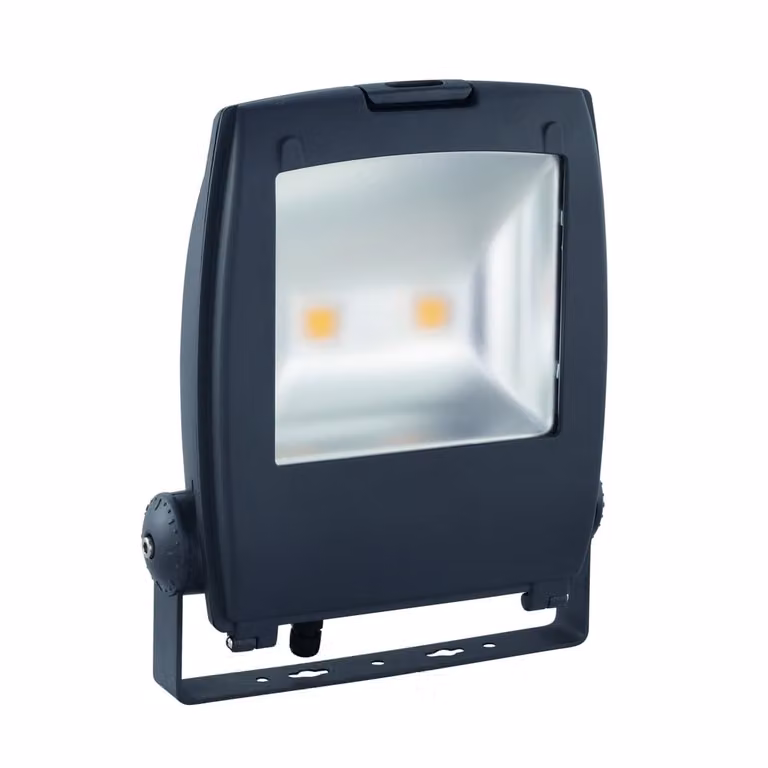 Eglo Gambettola Pro LED Schijnwerper 90W grijs