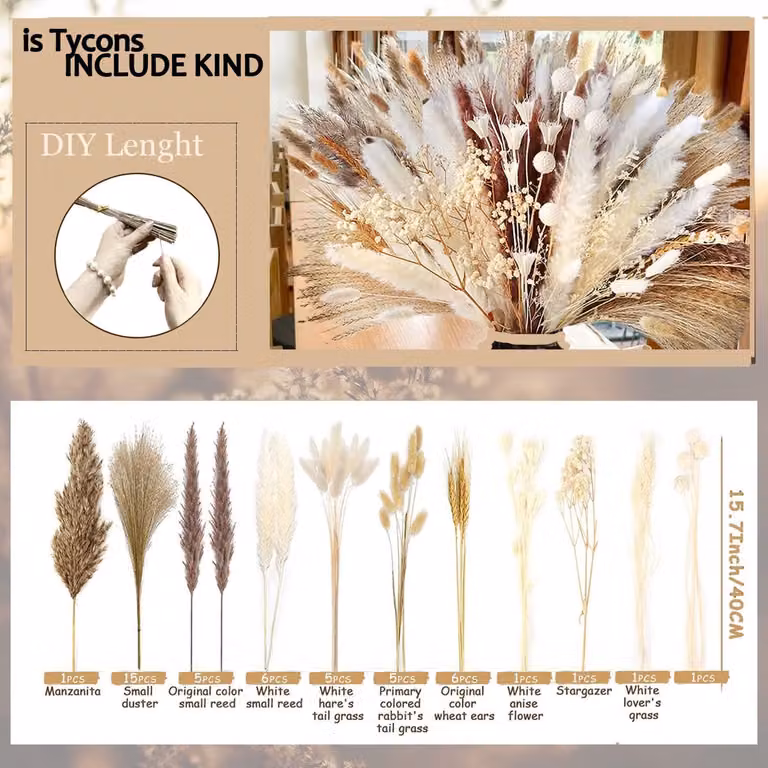 SnelShoppen 58 stuks gedroogd pampasgras boeket - Natuurlijke rietbloemen voor boho woonkamer decoratie en DIY droogbloemen