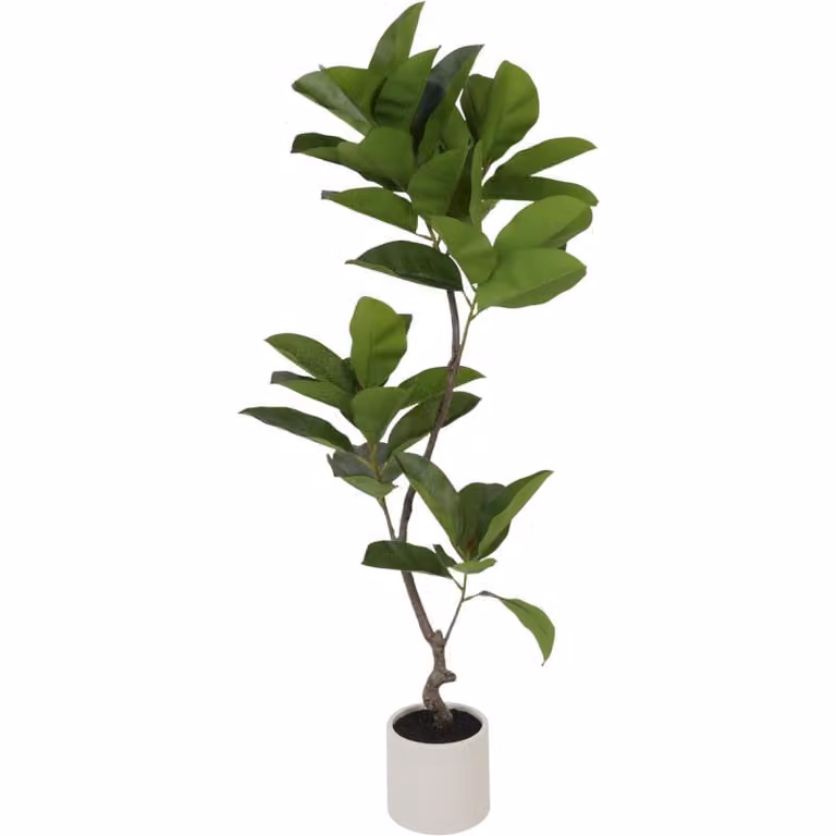 Budget Home Store Kunstplant Ficus Boom