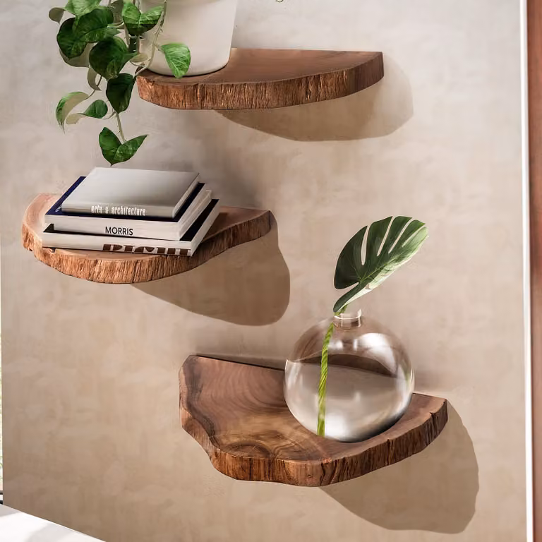 home24 Bothia Boomschijf-wandplank set van 3, gelakt massief acaciahout, bruin, B: 50 cm, D: 26 cm, H: 4 cm