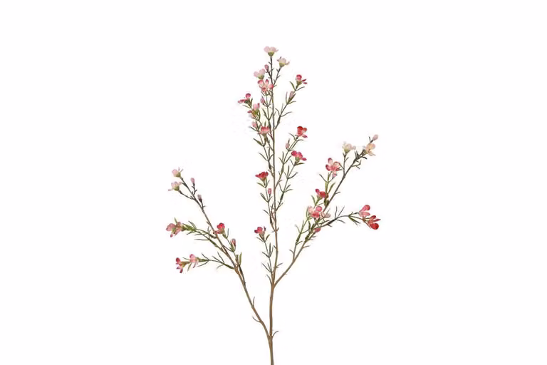 Countryfield zijden bloem Tamara van wax fuchsia 78 cm
