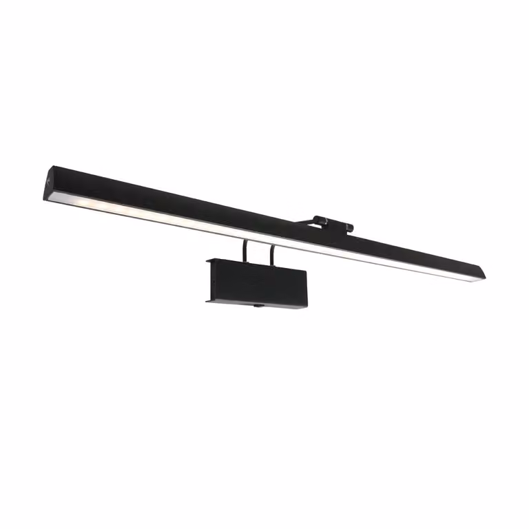 Steinhauer Litho LED schilderijlamp zwart