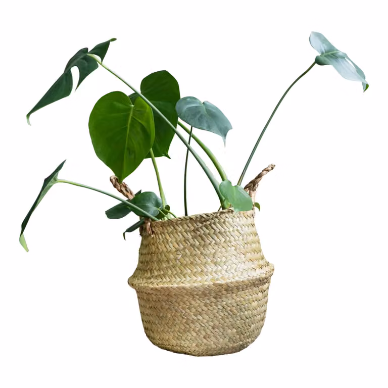 QUVIO Decoratieve opbergmand van vlas met handvaten - Breedte: 26 cm, Diepte: 25 cm