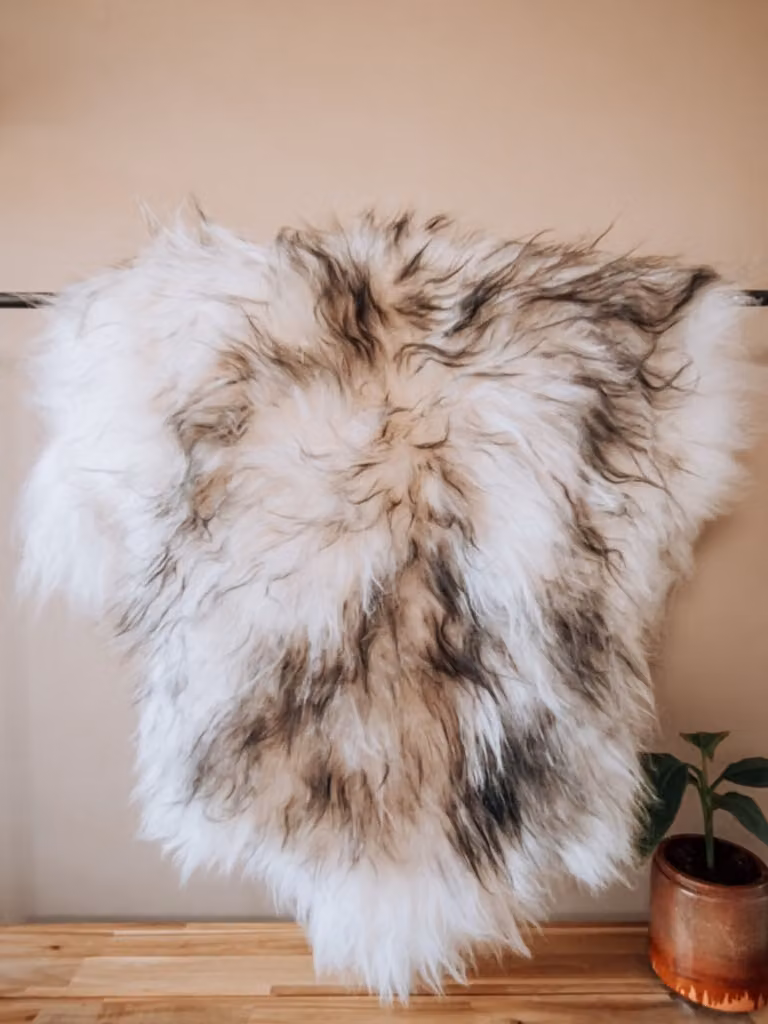 Echte IJslandse schapenvacht zwart wit mix XXL 125 cm
