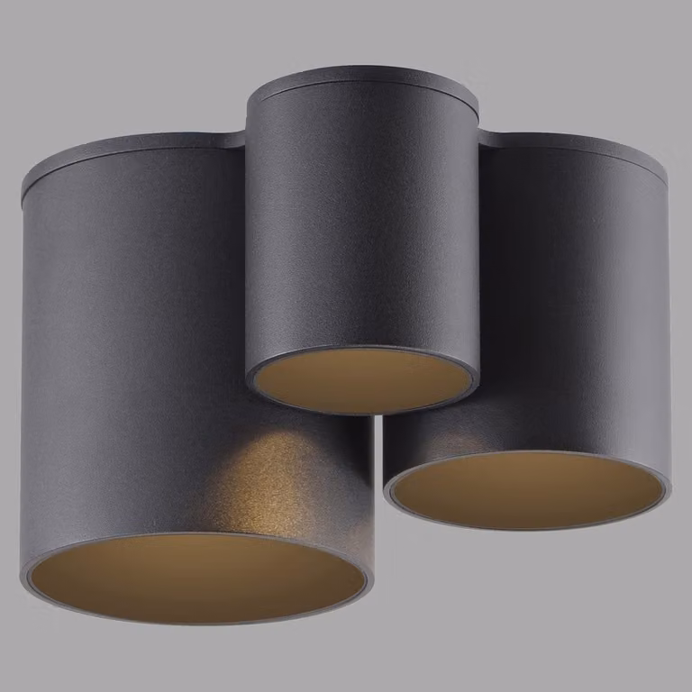Paul Neuhaus Pure Point LED badkamer plafondlamp zwart met 3 lampen IP44