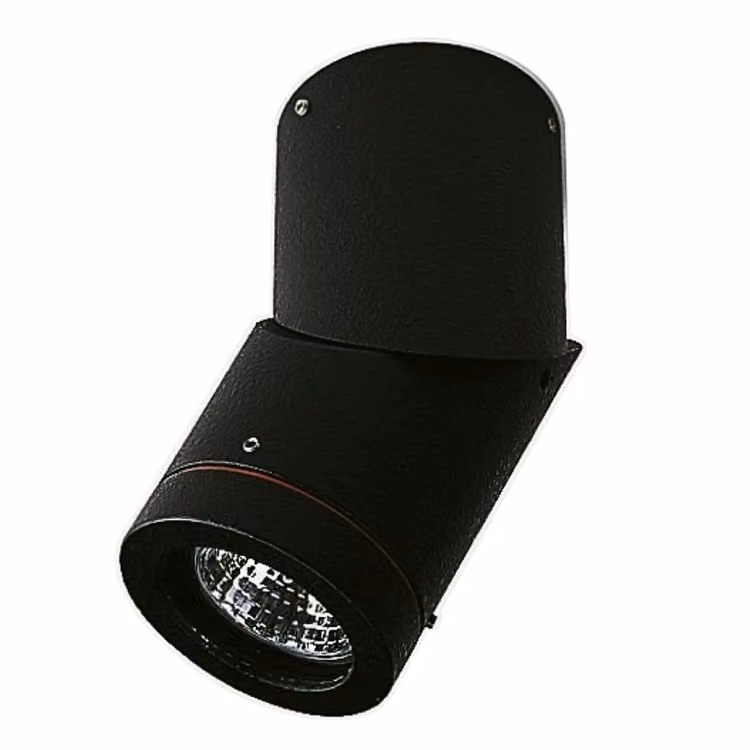 Albert Orientable Opbouwspot voor Buiten, Zwart, IP44
