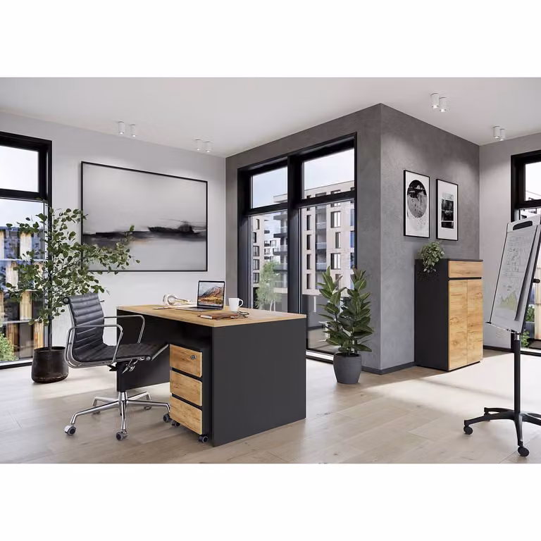 Germania Archiefkast met deuren en lades, modern design, bruin/zwart/grijs, B/D/H: 80 x 40 x 120 cm