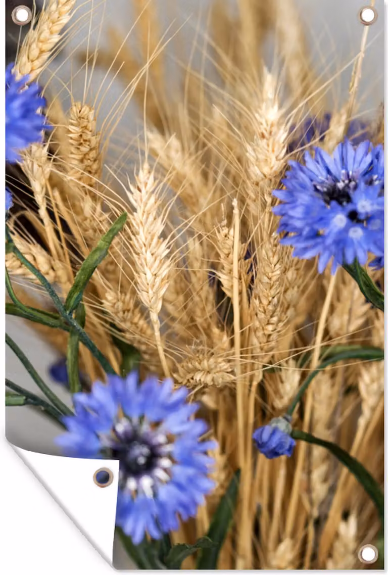 Tuinposter met droogbloemen en graan stilleven - Wanddecoratie voor in de tuin - B: 60 cm, H: 90 cm