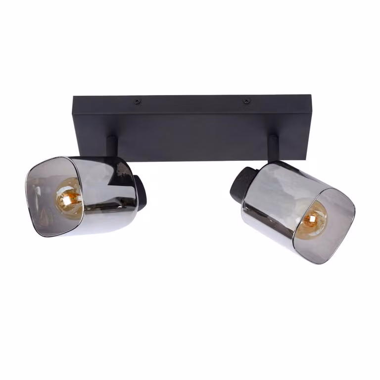 Lucide Alion Plafondlamp met 2 lichten in zwart en grijs met rookglas