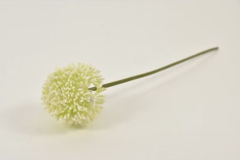 Allium Globemaster kunstbloem - Crème/Groen - 44 cm