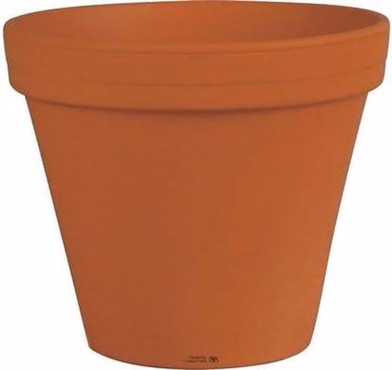 Terracotta bloempot met bodemgat voor binnen en buiten, Ø 18 x 15 cm
