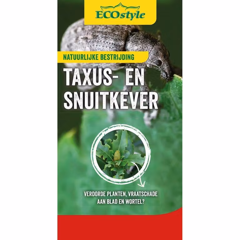 Ecostyle Aaltjesval tegen taxuskevers biologische ongediertebestrijding