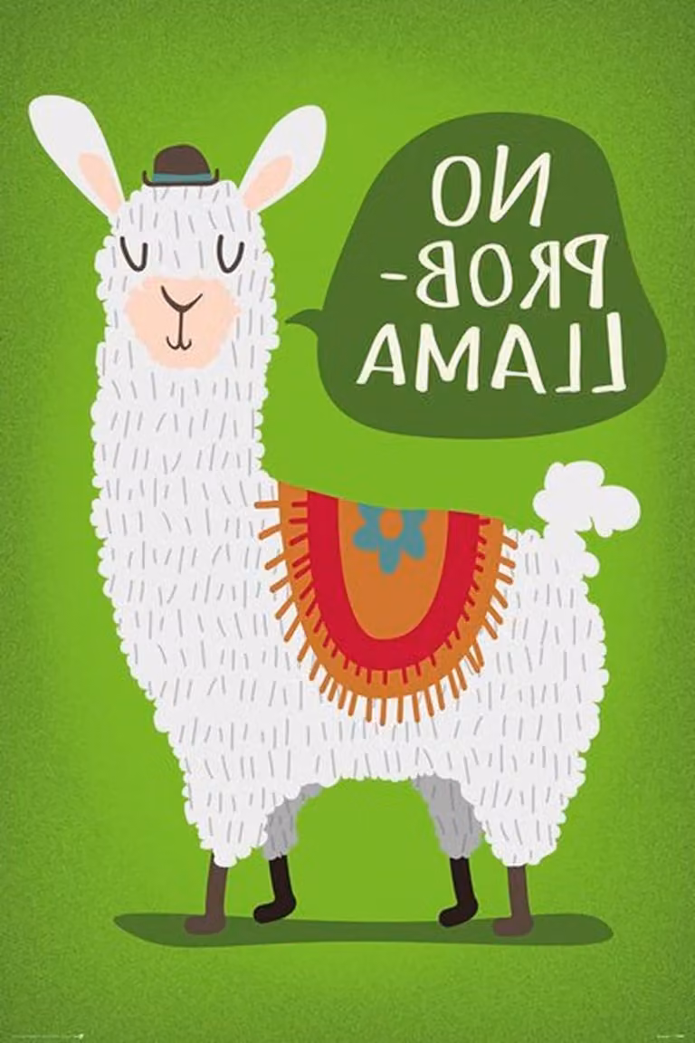 Llama Poster Dieren Wanddecoratie met Wissellijst Zwart B: 61 cm, H: 915 cm