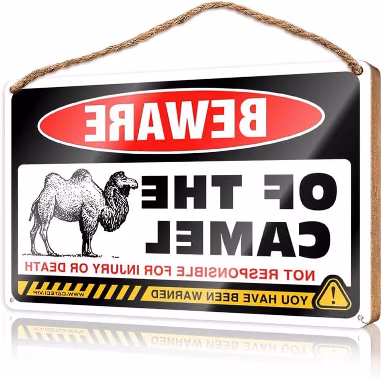 Houten Decoratiebord Bruin - Wanddecoratie voor een Klassieke Stijl - 20 x 30 cm