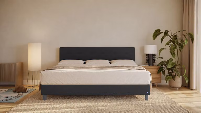 BRUNO Familiebed XXL Boxspringbed Zwart / Antraciet B: 240 cm, D: 200 cm