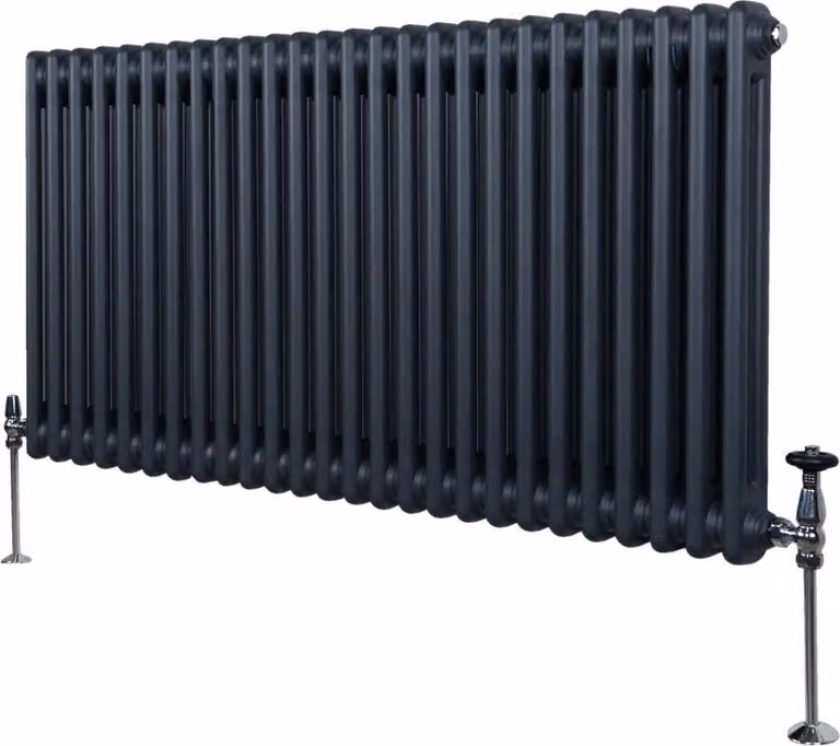Monster Shop Traditionele radiator met 2 kolommen - Anthracietgrijs - 60 x 119,2 cm