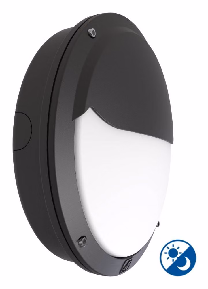 Franssen Buitenlamp met bewegingssensor en schemersensor, zwart aluminium, wandmontage