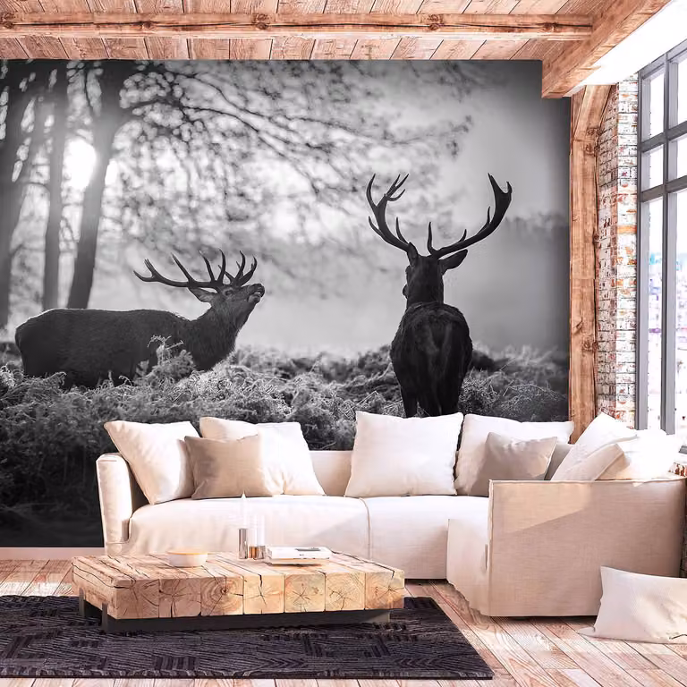 home24 Vlies-fotobehang Deers in the Morning, zwart wit grijs, B: 450 cm, H: 315 cm