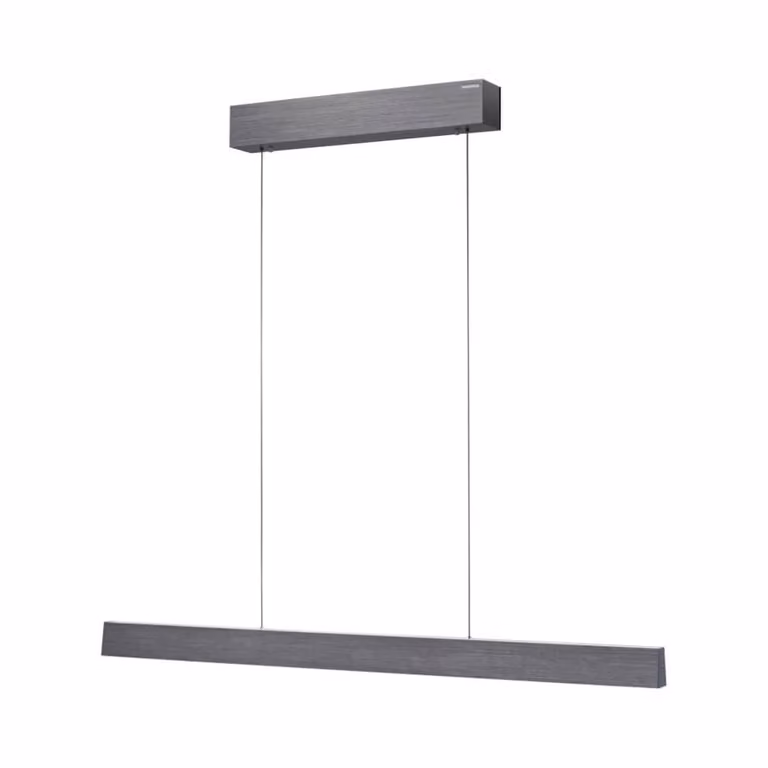 Paul Neuhaus Pure E-Motion Design Hanglamp Grijs/Zilver - LED - 120 cm