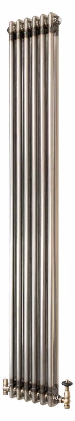 Monster Shop Klassieke radiator met twee kolommen en thermostaatkraan - Ruw metaal - H: 180 cm, B: 29 cm