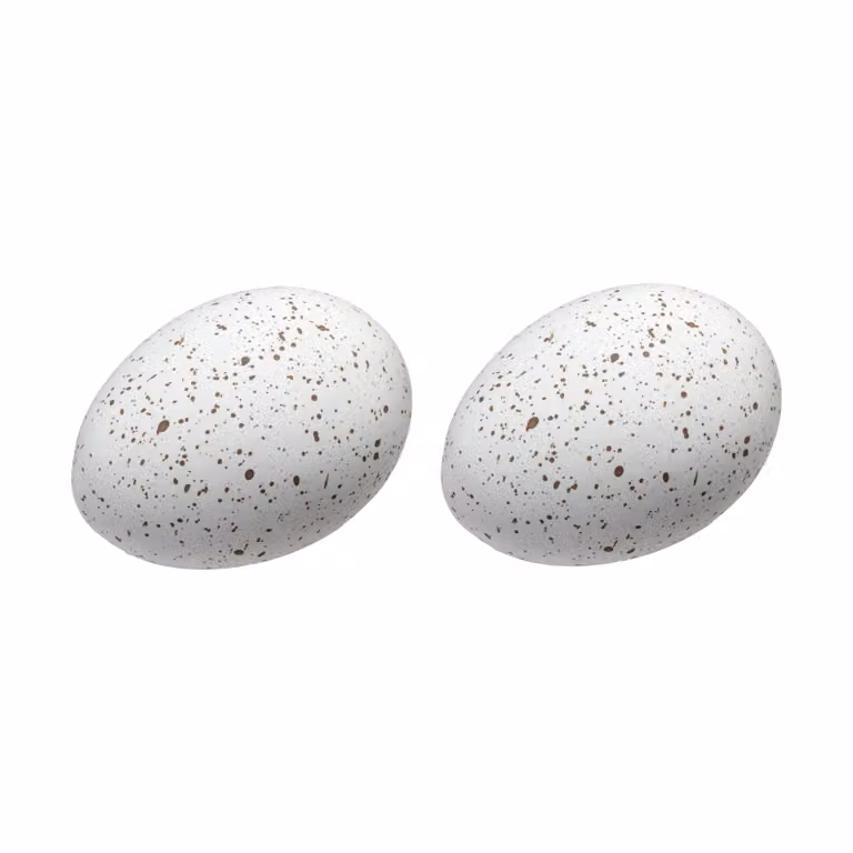 Cooee Design Easter Deco eieren 2-pack wit