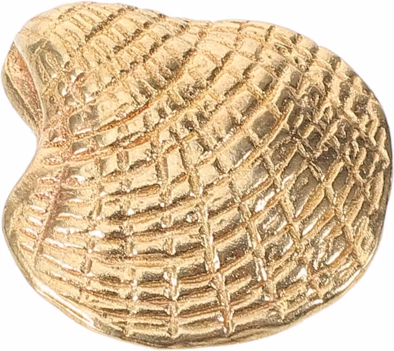 Decoratieve schelpgreep kastknop in messing voor meubels en lades